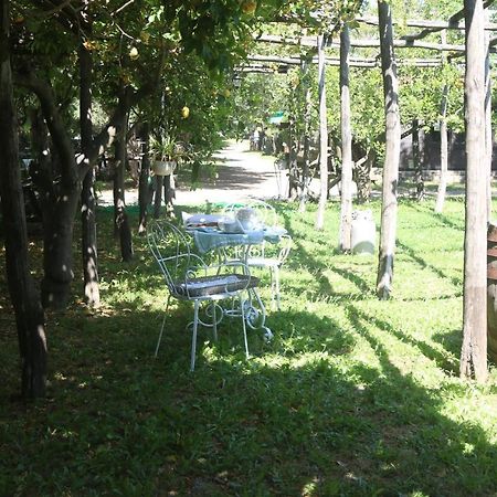 Apartamento Emy'S Country House Castellammare di Stabia Exterior foto