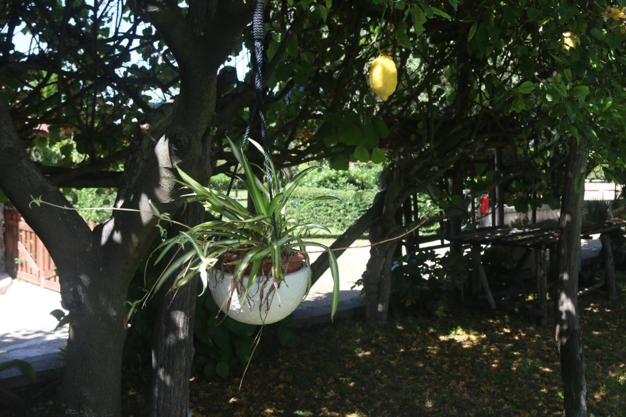 Apartamento Emy'S Country House Castellammare di Stabia Exterior foto