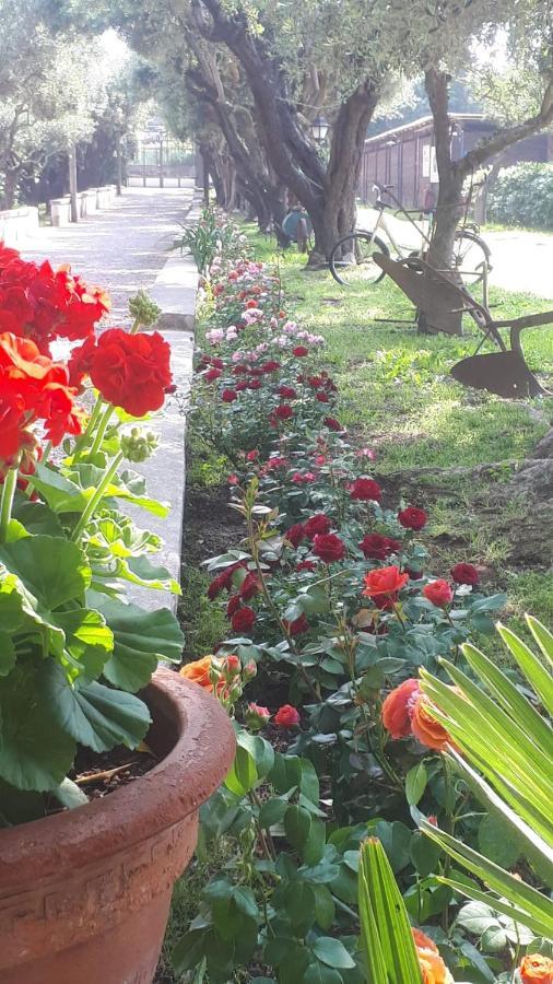 Apartamento Emy'S Country House Castellammare di Stabia Exterior foto